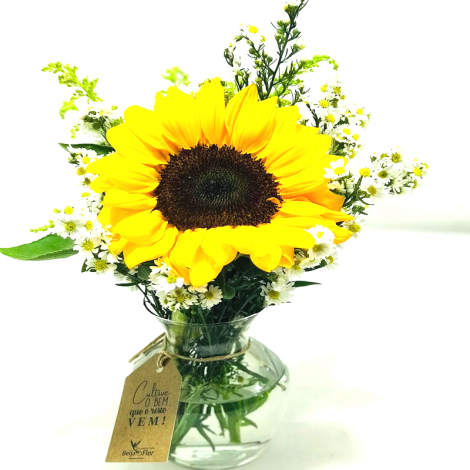 Arranjo de girassol no vidro