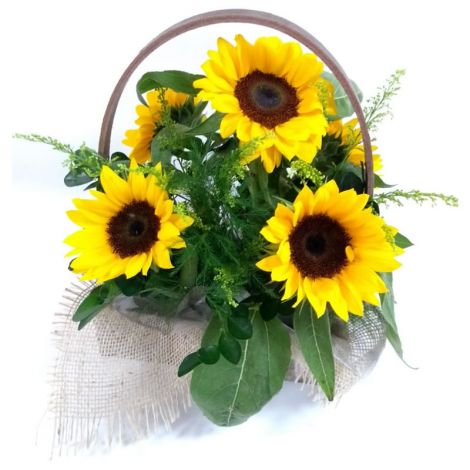 Cesta de Girassol(verificar disponibilidade)