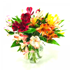 Astrometria no vidro