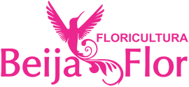Floricultura Beija-Flor